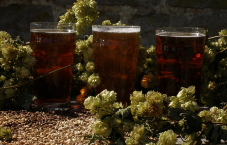 The Finished Article: Our Award-winning Real Ale