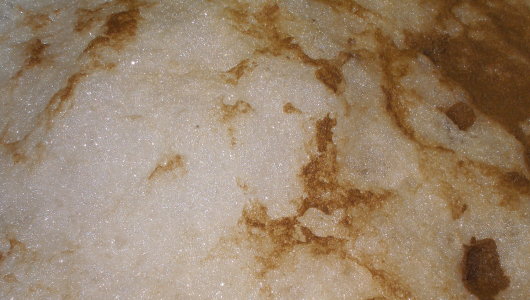 Fermentation Yeast Close Up